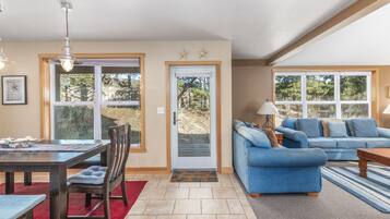 TV connectée, cheminée, lecteur de DVD