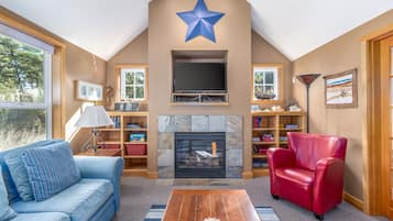 TV connectée, cheminée, lecteur de DVD