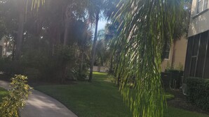 A residential street with a sidewalk, lush greenery, and a house with a window and a door. - Affordable, One floor, Spacious Condo, Conveniently Located 15 minutes to Disney (Kissimmee)
