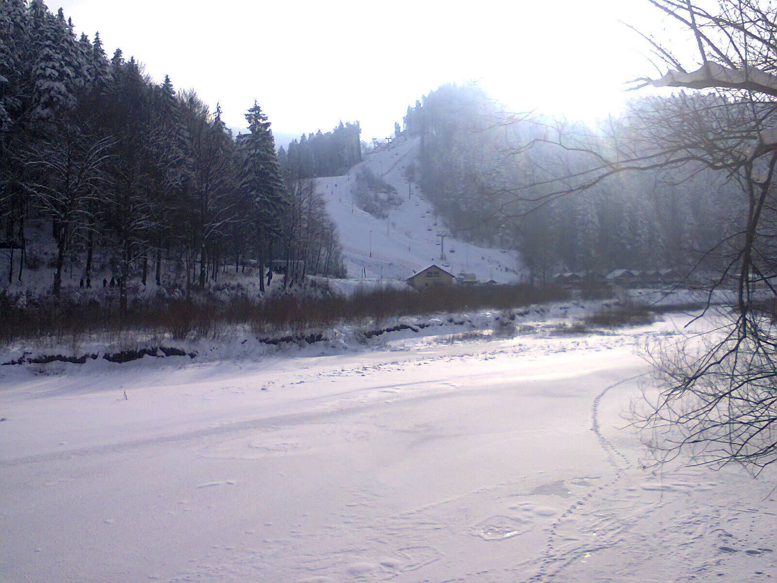A snowy landscape with a cabin and trees.