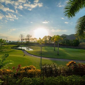 Appartement | 3 chambres