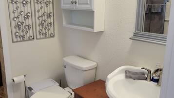Shower, towels, toilet paper