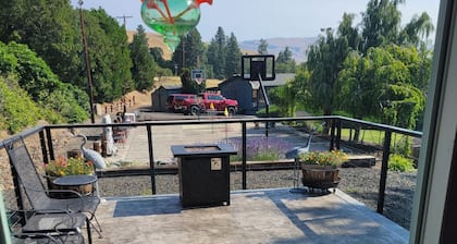 Quiet Studio Guest house in a country setting minutes from town