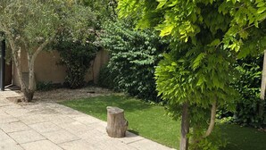 Una zona pavimentata con un piccolo ceppo d'albero, circondata da vegetazione verdeggiante e un prato curato.