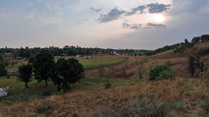 Property grounds - Private Cottage - 5 minutes to the Cradle of Humankind (GP)