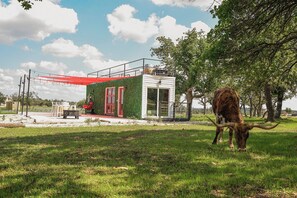 Een klein, modern gebouw met een rode deur en een groen dak, omringd door bomen en een gazon.