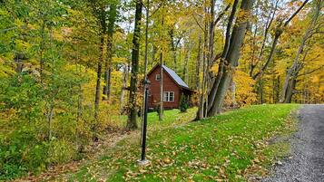 Área da propriedade