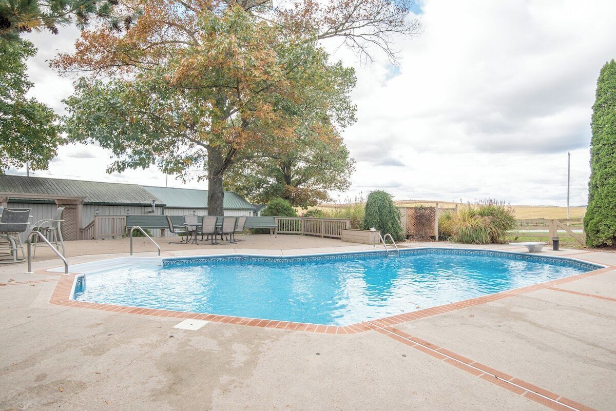 A rectangular swimming pool with a tiled edge, surrounded by a concrete deck.