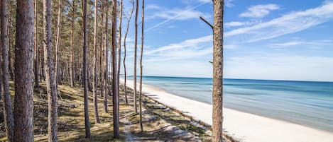 In Strandnähe