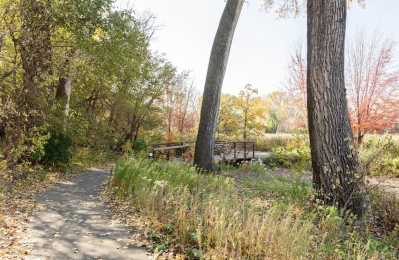 A park pathway with a wooden bridge, surrounded by trees and foliage.