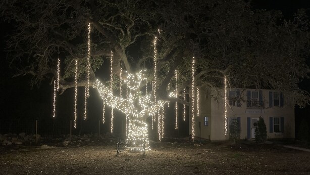 Ein Baum, der mit Lichterketten geschmückt ist, eine Bank und ein Gebäude mit der Aufschrift "Chateau de la Forêt".