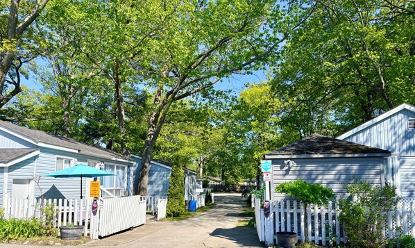 A narrow street lined with single-story houses, a white picket fence, and a clear blue sky.