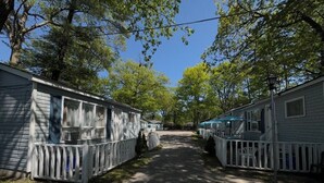 Una hilera de casas móviles con barandas blancas, un camino de entrada pavimentado y árboles al fondo.