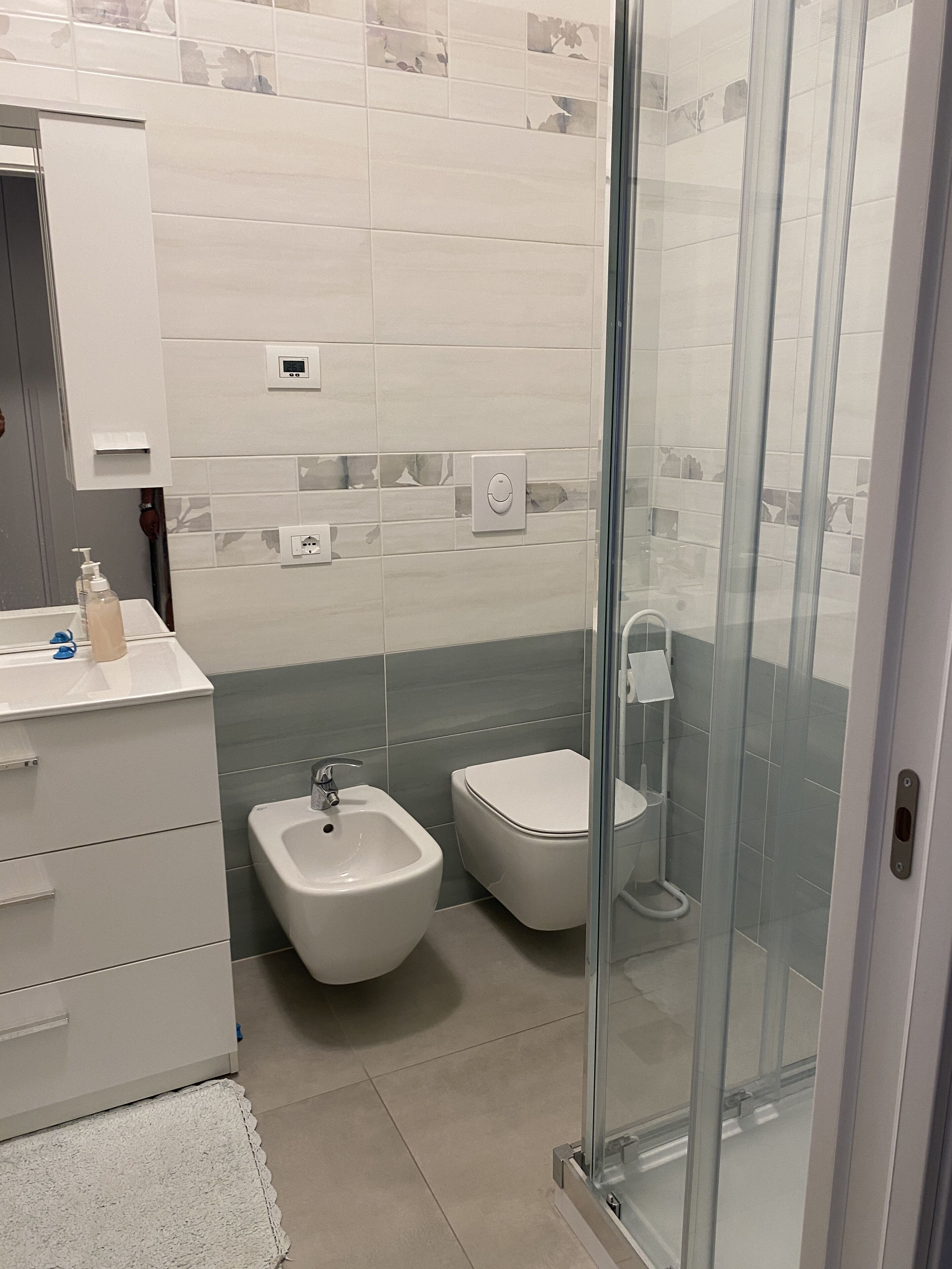 Dusche, Haartrockner, Bidet, Handtücher