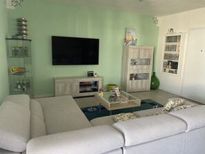 Smart TV, DVD player, books, video library