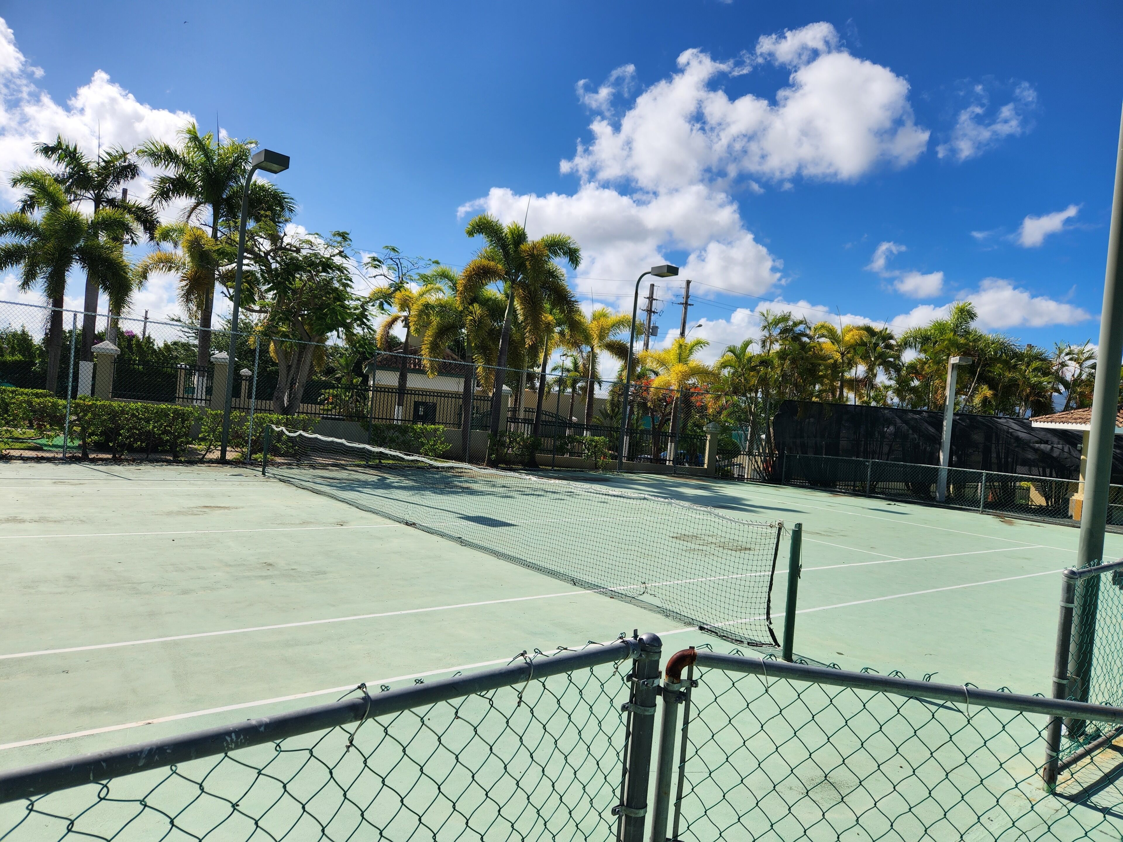 Ein Tennisplatz mit Maschendrahtzaun, Palmen und blauem Himmel.