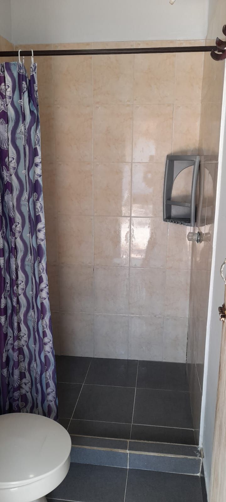 Un baño con ducha, inodoro y un perchero para toallas.
