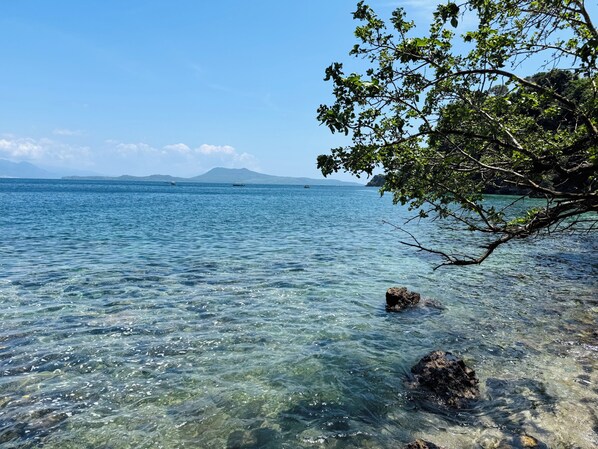 Clear water, rocks, and a tree branch.