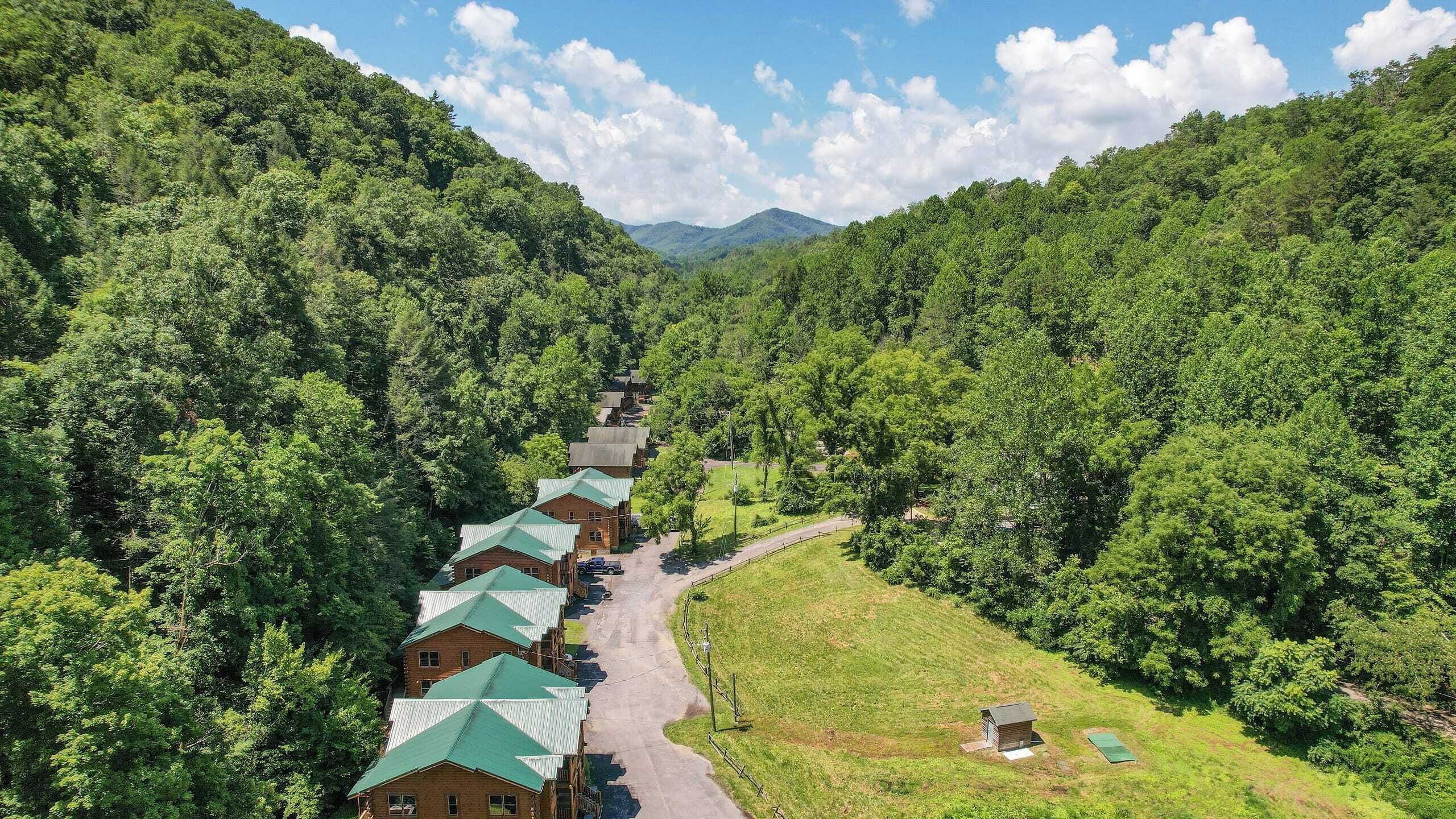 Une rangée de chalets en rondins surmontés de toits verts, entourés d’une forêt dense et sous un ciel dégagé.