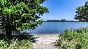 Un sendero que conduce a un lago rodeado de vegetación.