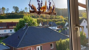Un panneau solaire sur un toit, une fenêtre avec une porte, et le reflet d’une maison et d’arbres dans le verre.