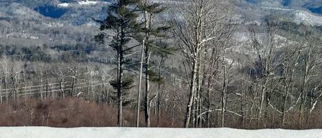 A snowy landscape with a forest and mountains in the background.