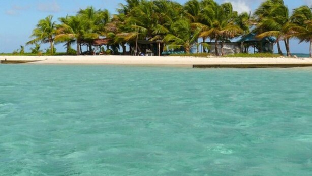 A beach with clear turquoise water, palm trees, and a sandy shore. - Villa Oneway with swimming pool - Rated 3 stars ⭐⭐⭐ (Sainte-Rose)