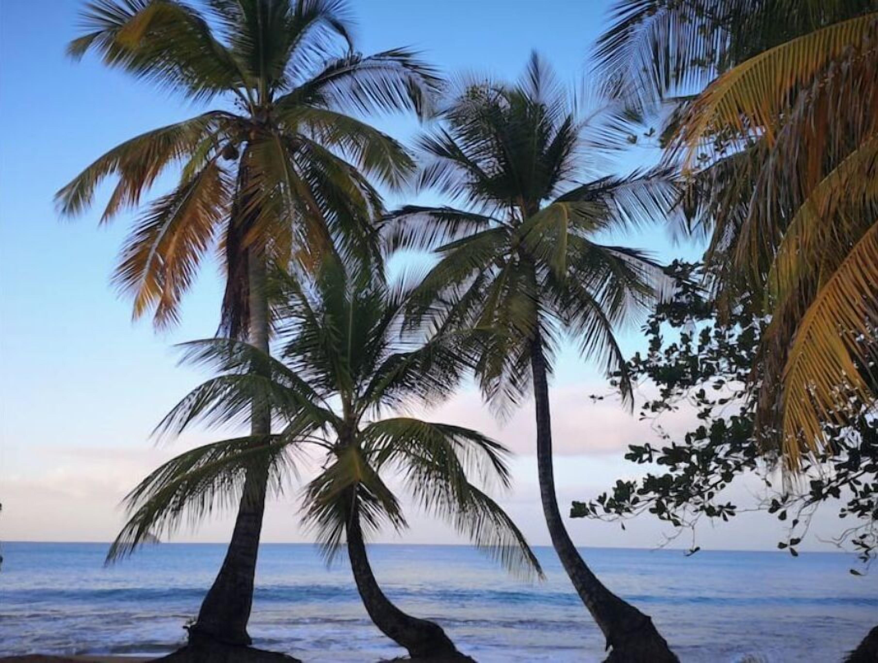 Chaises longues, serviettes de plage