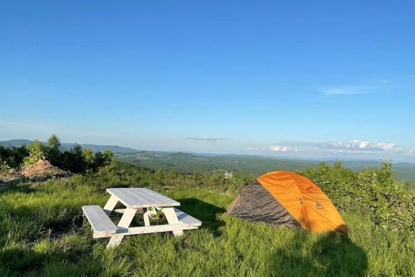 Servei de restauració a l'aire lliure