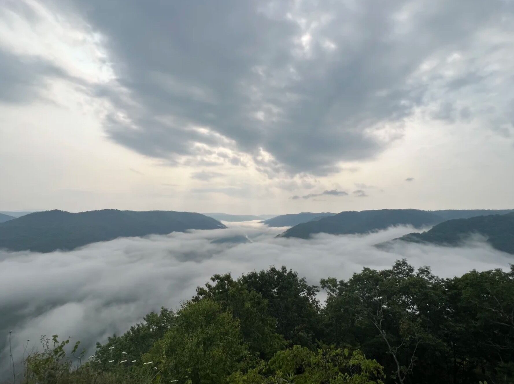 A mountainous landscape with a valley shrouded in clouds, surrounded by dense forest.