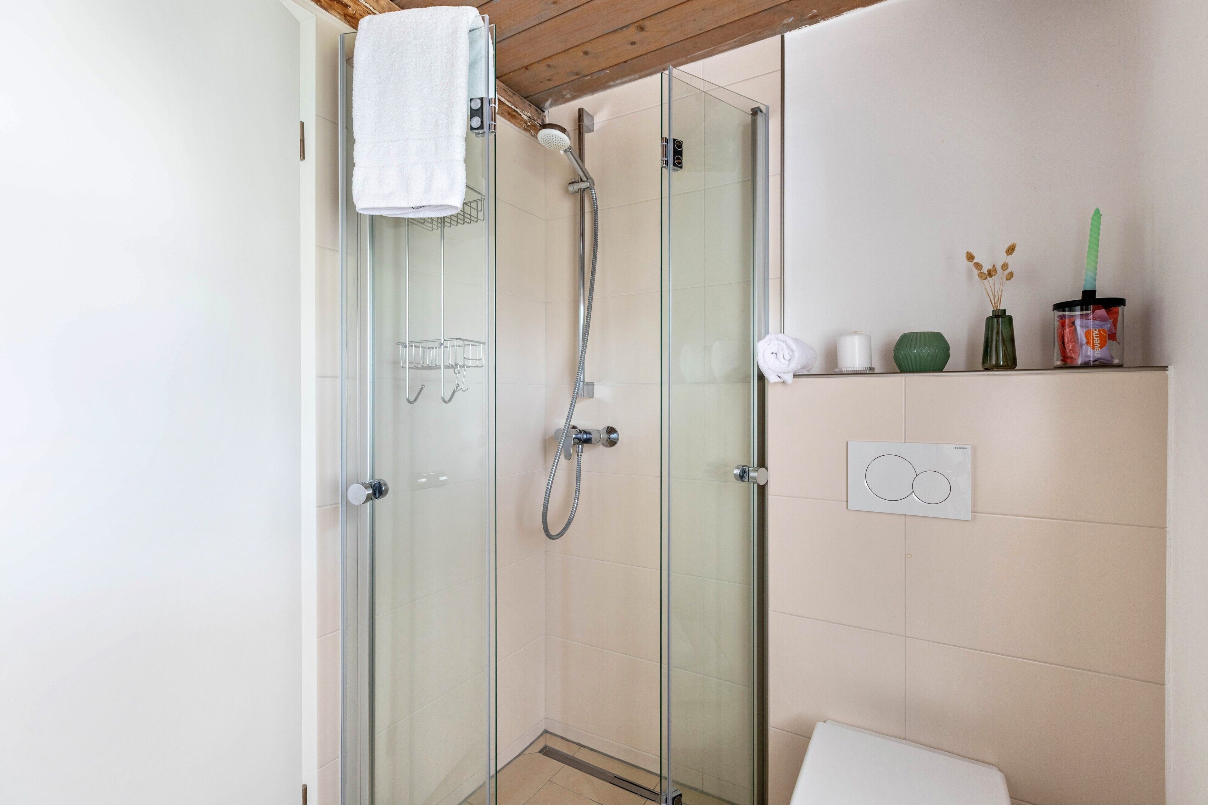 Eine begehbare Glasdusche mit Handbrause, einem Handtuchhalter und einer Toilette mit Bidetfunktion.