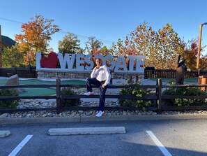 Property grounds - A amazing cabin style and incredible Mountain View’s  (Gatlinburg)