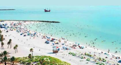 *Pool* 8.5 miles to Honeymoon Island. 4 bdr