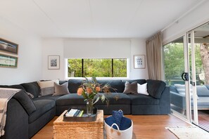 Smart TV, fireplace, DVD player, books