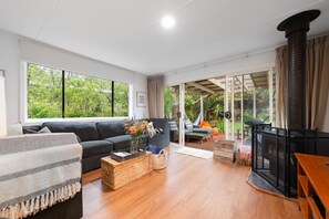 Smart TV, fireplace, DVD player, books