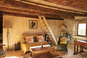 TV, DVD player, books, video library