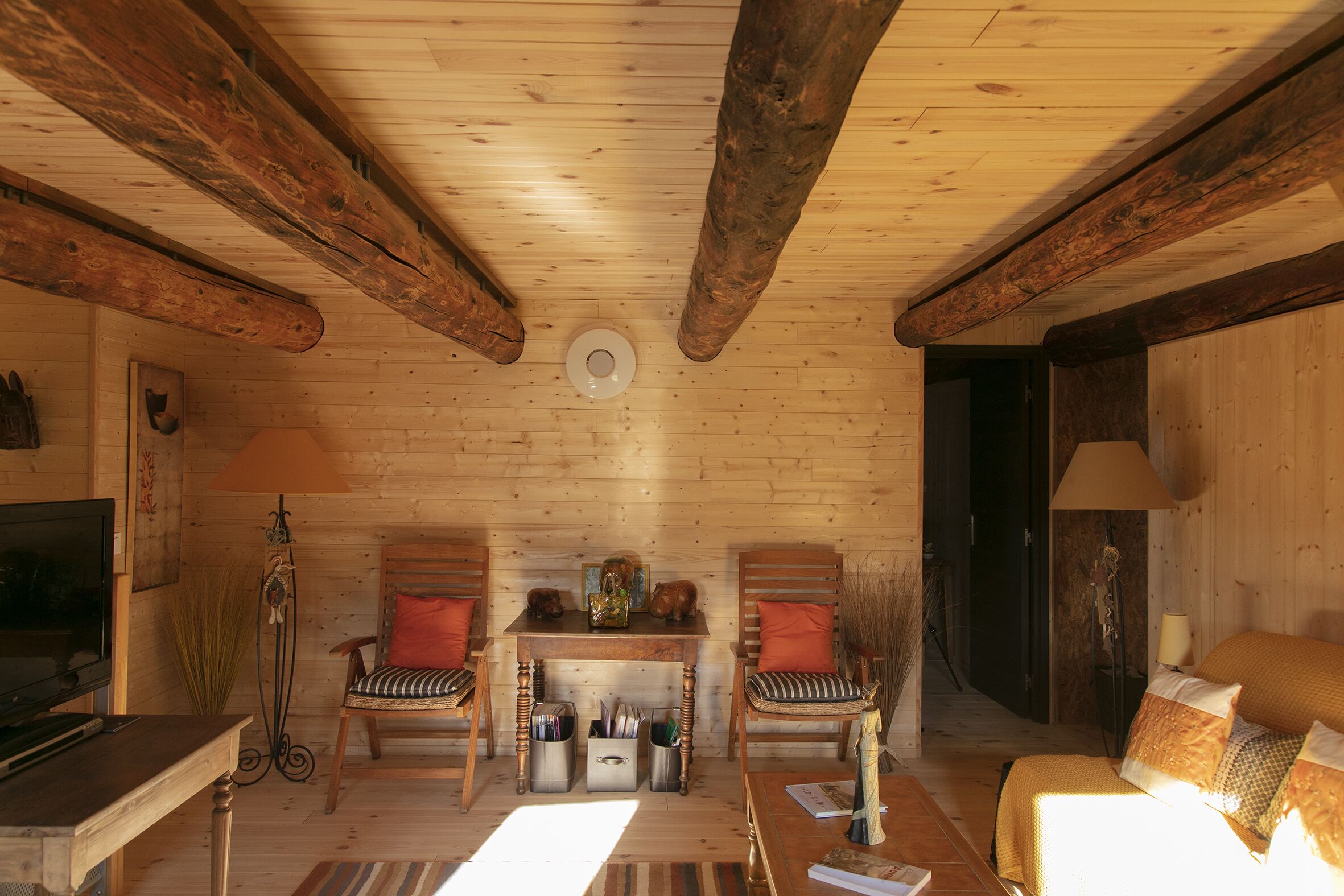 Télévision, lecteur de DVD, livres, vidéothèque