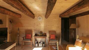 TV, DVD player, books, video library