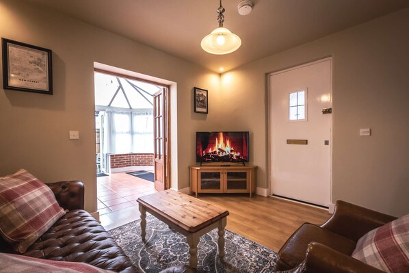 TV connectée, cheminée, lecteur de DVD, livres