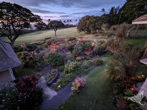 Un jardín ajardinado con diversas plantas y un sendero.