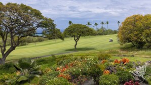 Un parcours de golf avec une pelouse bien entretenue, une variété d’arbres et une voiturette de golf visible au loin.