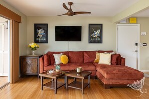 Smart TV, books, video library