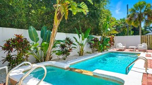 A rectangular swimming pool with a white deck, surrounded by tropical plants and a white wall. - Ciel - Endless Holiday Stays! (St. Augustine Beach)