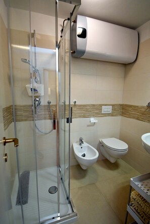 Shower, hair dryer, bidet, towels