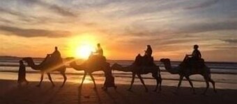 Appartement Neuf Surf &plage