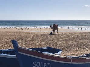 Beach - Appartement Neuf Surf &plage (Tamraght)