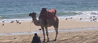 Appartement Neuf Surf &plage