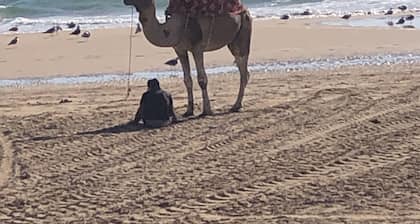 Appartement Neuf Surf &plage