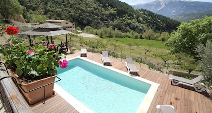 Charming Provencal villa-mas facing Mont Ventoux Heated pool Jacuzzi