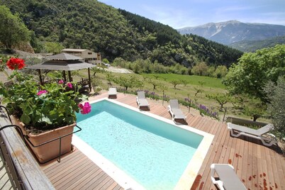 Charming Provencal villa-mas facing Mont Ventoux Heated pool Jacuzzi